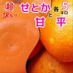 ショッピング甘平 せとか＆甘平みかん　超訳あり　各5キロ　合計10キロ　不揃い愛媛八幡浜規格外品　送料無料　八幡椿フルーツ　記念セール