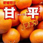 ショッピング甘平 愛媛八幡浜　訳あり　甘　平　内容量　5キロ不揃い不選別　えひめにしうわ　わけあり家庭用おみやげ優等生柑橘果物