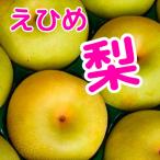 訳あり家庭用 句の梨 訳あり2キロ サイズ不揃い 愛媛県産 送料無料果物