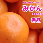  Ehime запад . мир .. мандарин превосходящий 5 kilo подарок по случаю конца года рука земля производство подарок производство земля прямой включая доставку и налог предубеждение 