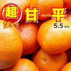 ショッピング甘平 超訳あり　かんぺい（甘平）５．５キロ　不揃い　愛媛八幡浜　一部地域別途送料