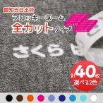  самый короткий этот день отгрузка [ все cut ] flocky имя можно выбрать 2 цвет всего 40 шт разрезанный поэтому, достигать sg... утюг наклейка имя входить . входить .