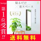 鏡 壁掛け 全身鏡 姿見鏡 割れない鏡 防災 災害対策 貼る鏡 アクリルミラー 
