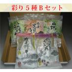【送料無料】本舗のお試し５種Ｂセット