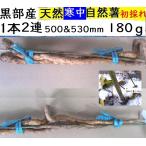 [ бесплатная доставка ]( Kanto Tokai Kinki Hokuriku Shinetsu ) чёрный часть производство * красный земля глина. холод средний натуральный Японский ямс 1 шт. 530mm.500mm. ответвление ≒180g