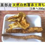 [ бесплатная доставка ]( Kanto Tokai Kinki Hokuriku Shinetsu ) чёрный часть производство * супер липкость! красный земля глина. . type . натуральный Японский ямс 3шт.@≒200g