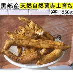 [ бесплатная доставка ]( Kanto Tokai Kinki Hokuriku Shinetsu ) чёрный часть производство * супер липкость! красный земля глина. . type . натуральный Японский ямс 9шт.@≒250g