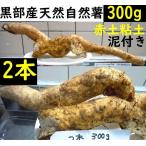 [ Kanto Koshinetsu бесплатная доставка ] чёрный часть производство * супер липкость! грязь имеется * красный земля глина. . type . натуральный Японский ямс 2 шт. 300g