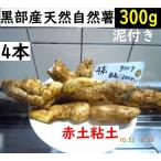 [ Kanto Koshinetsu бесплатная доставка ] чёрный часть производство * супер липкость! грязь имеется * красный земля глина. . type . натуральный Японский ямс 4 шт. 300g