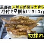 [ Kanto Koshinetsu бесплатная доставка ] чёрный часть производство [ первый ..!] супер липкость! красный земля глина. . type . натуральный Японский ямс 9шт.@≒310g