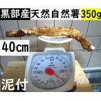 [ Kanto Koshinetsu бесплатная доставка ] чёрный часть производство * супер липкость! грязь имеется * красный земля глина. . type . натуральный Японский ямс 1 шт. товар 400mm350g