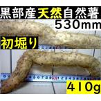 [ Kanto Koshinetsu бесплатная доставка ] чёрный часть производство [ первый ..] супер липкость! красный земля глина. . type . натуральный Японский ямс 530mm410g