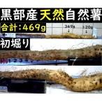 [ Kanto Koshinetsu бесплатная доставка ] чёрный часть производство [ первый ..] супер липкость! красный земля глина. . type . натуральный Японский ямс 469g