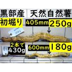 [ Kanto Koshinetsu бесплатная доставка ] чёрный часть производство [ первый ..!] супер липкость! красный земля глина. . type . натуральный Японский ямс 2 шт. 430g