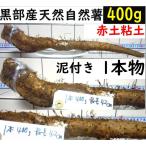 [ Kanto Koshinetsu бесплатная доставка ] чёрный часть производство * супер липкость! грязь имеется * красный земля глина. . type . натуральный Японский ямс 1 шт. 400g
