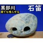 [ лекарство камень .] каждый .... чёрный часть река реки. камень дудка *2 дуть . обратная сторона ..380g