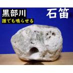 [ лекарство камень .] чёрный часть река устье. камень дудка * скала дудка *. дудка Kirakira *chikachika*....189g