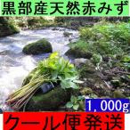 1[ Kanto Koshinetsu бесплатная доставка ] прохладный рейс отправка название вода. . чёрный часть натуральный красный miz..kata - uwabami.1,000g