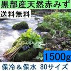 2[ бесплатная доставка ]( Kanto Tokai Kinki Hokuriku Shinetsu ) чёрный часть производство [ futoshi .. длинный ] натуральный красный ..miz80 размер 1.5kg