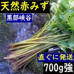 [ бесплатная доставка ] чёрный часть производство натуральный красный miz.. клик post полный оборот 700g чуть более 