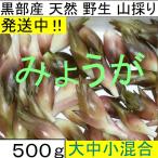 [ отправка средний ] чёрный часть производство натуральный . сырой гора ... . груз японский имбирь myouga500g B