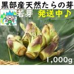 [ отправка средний!]. ландшафт серия * чёрный часть производство : натуральный ... .* треска. .[..]1000g[ прохладный рейс ]