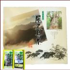屋久島茶ギフト2袋セット