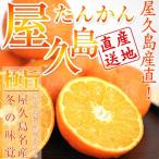 ショッピング予約 【予約受付中】屋久島 たんかん 家庭用１０Ｋｇ