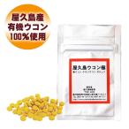 予約 屋久島ウコン極70粒 ポッキリ 1