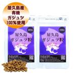 サプリ 屋久島ガジュツ粒300粒 2袋セ