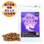 サプリ 屋久島ガジュツ粒300粒  無農