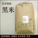 業務用 黒米 岩手県産 20kg 雑穀