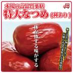 ショッピングドライフルーツ ドライフルーツ 無添加 砂糖不使用 なつめ 400g 薬膳 棗 ナツメ 大なつめ 大棗 オーガニック 葉酸 鉄分 カリウム カルシウム ミネラル 長寿薬膳堂