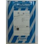 ビニデラックス３００S　日塗工（類似）　Ｎ−９５　２０kg