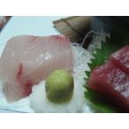  Take наружный для сырой васаби 2.5g×250 шт [ суши / sashimi /. данный ][ прохладный рейс ]