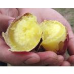  Yamanashi производство батат [... золотой час ]2.5kg коробка [ прямая поставка товар A]