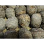 ya. хочет .(2L размер ) 2kg коробка * дни указание не возможно 