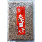 香川県産 もち麦(ダイシモチ) 950g 国産 残留農薬ゼロ・グリホサートゼロ・ネオニコチノイドゼロ