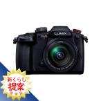  Panasonic DC-GH5M2M цифровой однообъективный камера DCGH5M2M