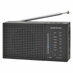  ом электро- машина RAD-H234N-K AM|FM портативный радио черный 