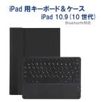 RM RM-4032iBKB-Case 第10世代 ipad11／10.9インチ用カナ入力キーボード＆ケース  ブラック／ブラック
