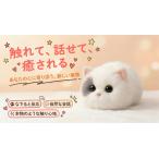  рука. средний., маленький Partner. сердце . через ... кошка type AI домашнее животное [wa Lulu ]