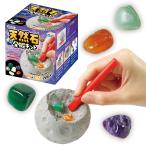 アーテック 天然石発掘キット 58251