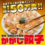 かかし餃子 中華 おつまみ おかず 惣菜 冷凍食品 業務用 埼玉 名物 ギフト お取り寄せグルメ ポイント消化