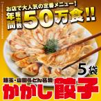 ショッピング餃子 かかし餃子５袋セット 中華 おつまみ おかず 惣菜 冷凍食品 業務用 埼玉 名物 ギフト お取り寄せグルメ ポイント消化