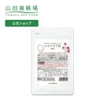 ショッピングエキナセア 山田養蜂場 エキナセア粒 90粒 袋入 健康食品 人気 健康 父の日