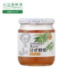 山田養蜂場里山のはぜ蜂蜜国産550...