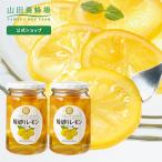 山田養蜂場 輪切りレモンはちみつ漬 ＜420g×2本＞ 果実漬け はちみつレモン スライス レモネード レモンスカッシュ シロップ ギフト プレゼント お中元