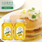 山田養蜂場 レモンはちみつ漬 900g×2本 はちみつ ハチミツ 蜂蜜漬け レモン レモネード レモンスカッシュ ジャム お取り寄せグルメ ギフト 母の日