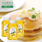 山田養蜂場 レモンはちみつ漬 900g×3本 バレンタイン